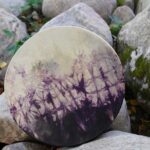 Shaman Drum Syysorvokki 2663