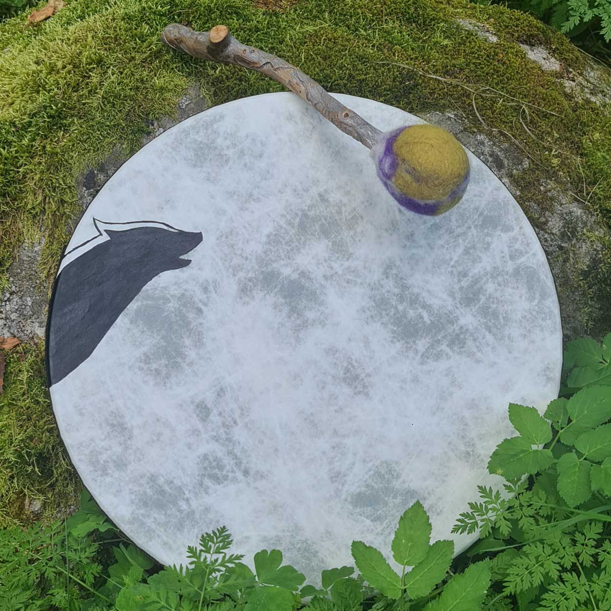 vegaaninen-vege-shamaanirumpu-2026-5 Vegaaninen Shamaanirumpu - Image 1