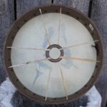 voimaelainrumpu-perhonen-1814